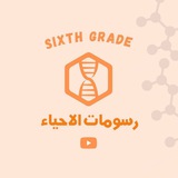 رسومات الاحياء