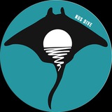 NUS Dive Channel