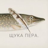 Это Щукин
