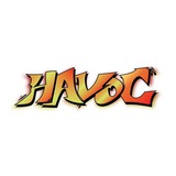 π₯ PARTY WITH HAVOC π₯