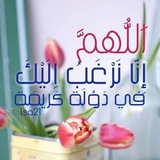 آلُ البَيْت عَليهِمْ السَلام طَرِيقُ الهُدى🍎