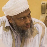 فتاوى فضيلة الشيخ محمد الحسن ولد الددو