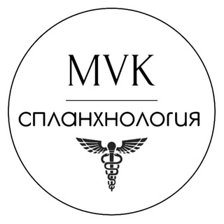 СПЛАНХНОЛОГИЯ 🪆