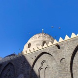 د.هبة رؤوف عزت