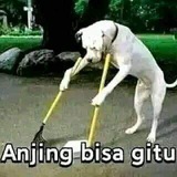 Meme Klop