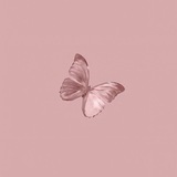 أسماء يسري 🧚🏻♀️ 📝 <i class="emoji"
