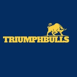 TriumphBulls Research