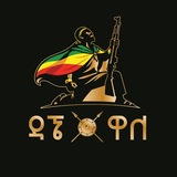 Dagne Walle - ዳኜ ዋለ Official