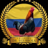 GALLOS DR EGURROLA