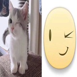 ميمز || MEMES