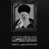السيد علي احمد العاملـي