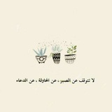 التفاؤل زهرة الحياه 🦋