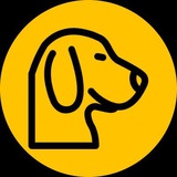sohwak 코인투자노트