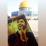🔻 خواطر فتى لم يرحل - أحمد شقير
