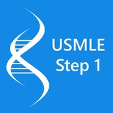 Usmle iraqi