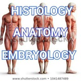 Anatomy and physiology