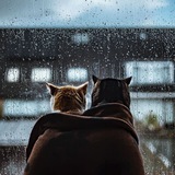فديوهات متنوعه_ ستوريات ❤️ 😍