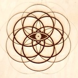 NIBBANA SPACE