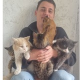 🐕 Miditon о домашних и бездомных животных 🐈