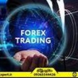 🧿 forex GOLD 💰