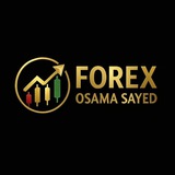 Trader forex free π
