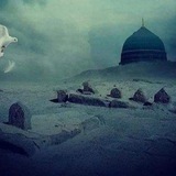 نبضُ الطاعةِ في نورِ الإمام