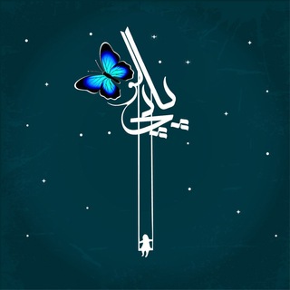 🦋 پاپیلو