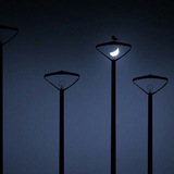 واحه ای در لحظه