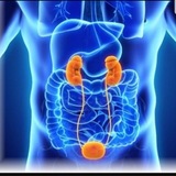 Medical science and Nephrology topics