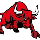 Finobulls