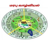 மரபு வாழ்வியல்