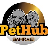 🐶 سگ توی پودل تاینی پودل پامرانین پامر 🐶