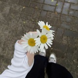 𝑑𝑒𝑐𝑒𝑚𝑏𝑒𝑟 ♡.