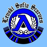 Levski Sofia Scarves ✙