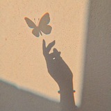 ﮼دلبر 🦋 🖇️
