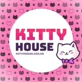 KITTY HOUSE LIVE 😻 👀