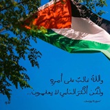 هُدًىٰ وشِفَاءْ.
