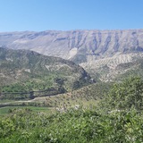 اتحاد ایل بزرگ بیری(علیشروانها )