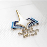 أكاديمية شام Sham Academy