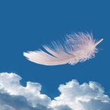 ﮼جرعه ﮼حياه 🕊