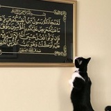 كتب الخلف
