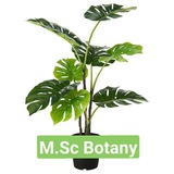 Msc Botany Zoology
