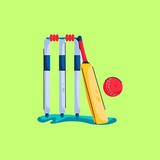 Cricket Wallet