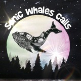 ๐ณ Sonic Whales ยฎ Calls<i class="emoji" style="background-im