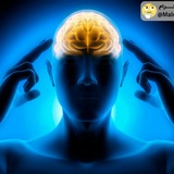 ✍ علوم هشتم