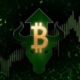 Crypto Magician