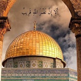أثَر الفَراشَة 🦋 🌻 <i class="emoji" style="background-im
