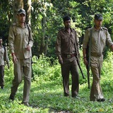 महाराष्ट्र वन विभाग भरती 2025