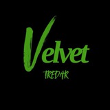 Velvet Trader Forex 