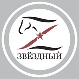 «ЗВЁЗДНЫЙ» загородный комплекс